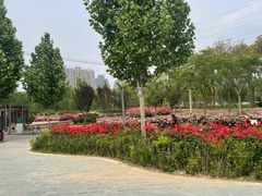-坝河休闲公园