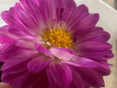 -金泰兰·东南亚料理(乐堤港店)