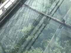 -铜川市金锁关石林