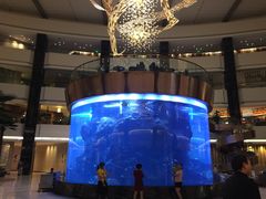 -OPEN開全日自助餐厅·西餐·海鲜(佛山希尔顿酒店)