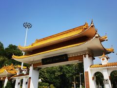 -深圳仙湖植物园