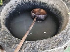 -100蛋泥浆浴
