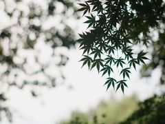 -西湖天地