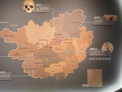 -广西壮族自治区博物馆