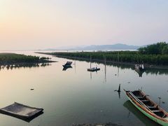 -盐洲岛
