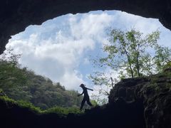 -武陵山森林公园