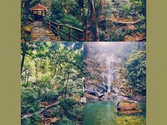 -鼎湖山风景区