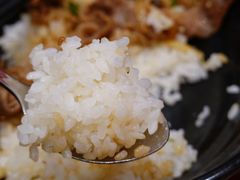 日本米-食其家·牛丼咖喱(蚂蚁金服店)