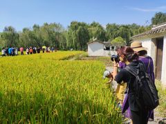 -溱湖国家湿地公园