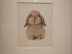 -江苏省美术馆(长江路新馆)