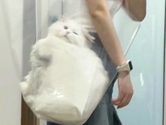 -FAELING PETS美天灵宠物(合生汇店)