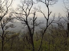 -紫金山山顶公园