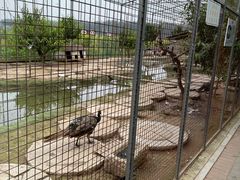 -河北村民俗体验园