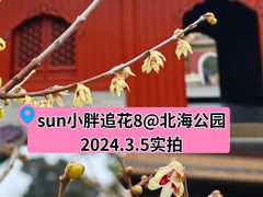 -北海公园
