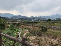 -福建土楼（华安）旅游区•大地土楼群