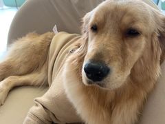 -怪兽屋·羊驼·猫咖·狗咖(俊华广场店)