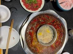 -一斗火锅·招财羊毛肚(北温泉九号店)