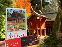 -奈良公园