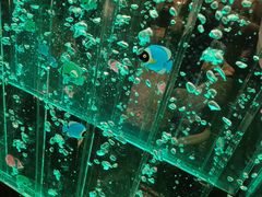 -大漠留香盐池滩羊烧烤餐厅(向阳步行街店)