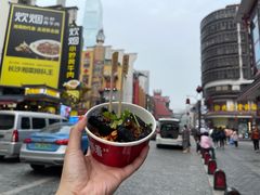 长沙臭豆腐-黑色经典臭豆腐·湖南特产(坡子街店)