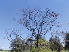 -五里桥文化公园-西侧停车场