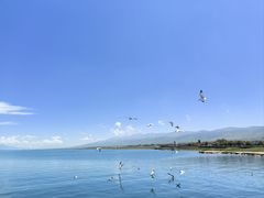 -青海湖国家重点风景名胜区