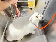 -PETKIT小佩宠物(古北店)