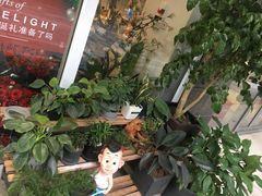 -卓花境Flowerwonderland花店
