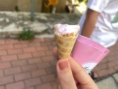 -风车面包