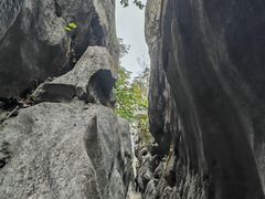 -千岛湖石林