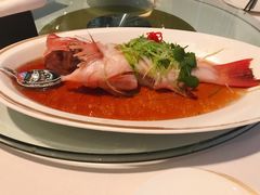-金轩中餐厅 Jin Xuan(浦东丽思卡尔顿酒店)