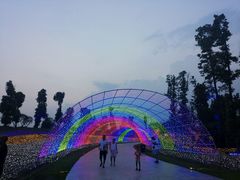 -秀丽东方