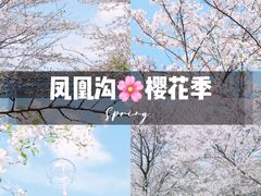 -凤凰沟景区