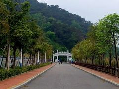 -羚羊峡古栈道森林公园