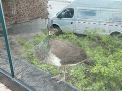 -J Create城市露营咖啡·简餐·宠物(上海动物园店)