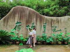 -荷塘月色湿地公园·向阳花洲