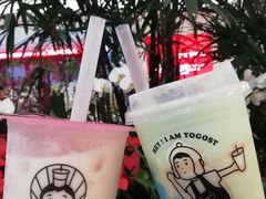 益生香橙君-我是酸奶君(壹方城店)