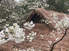 -中国茶叶博物馆(双峰馆区)