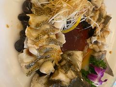-博雅渔港·融合菜(维也纳国际大酒店)