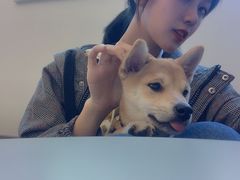 -浣熊柯尔鸭土拨鼠·电玩咖