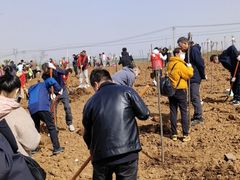 -白鹿原影视城