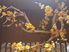 -鑫小城故事·藕汤·家常菜(台北一路总店)