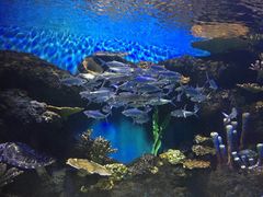 -华夏文旅海洋公园