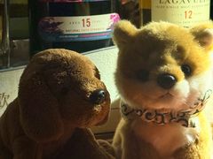 -蓉LOUNGE威士忌鸡尾酒FLOWER酒吧