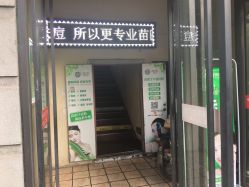 -苗医生草本科技祛痘