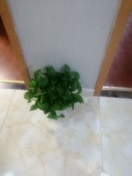 点击看大图 -Dr.林醫生产后修复·配方产康(南京江宁万达店)