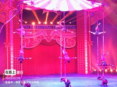 -珠海横琴长隆《卡卡虎奇遇记》