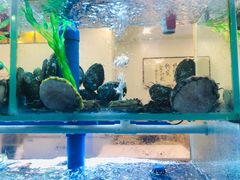 -富临港·蒸汽海鲜·手抓海鲜·炒菜(栈桥店)