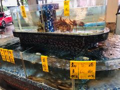 水产区-晶莹品鲜.顺德鱼生.特色桑拿菜