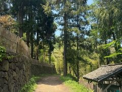 -莫干山风景区
